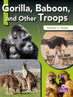 cover image of Gorilla, Baboon, and Other Troops